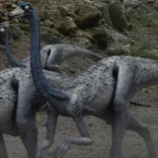 OrnithomimusPortrait