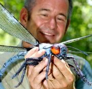 Meganeura with Nigel Marven