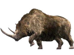 Woolly rhinoceros | Prehistoric Park Fanon Wiki | Fandom