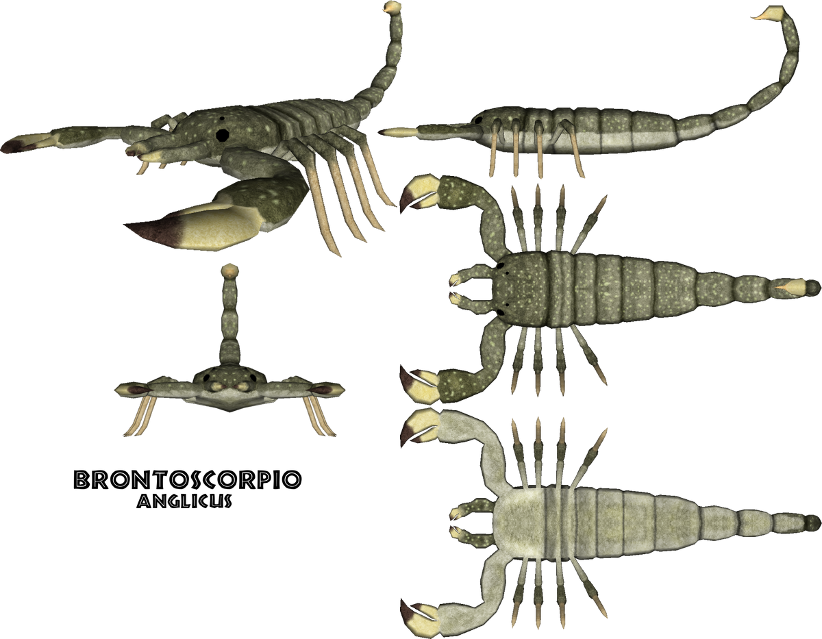 Какой тип питания характерен для морского скорпиона. Ракоскорпион Ордовик. Бронтоскорпио Англикус. Скорпионы силурийского периода. Ракоскорпион Палеозойская Эра.