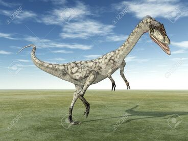 19693711-Dinosaur-Coelophysis-Stock-Photo