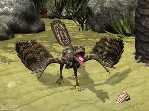 Archaeopteryx defending 1280-1024x768