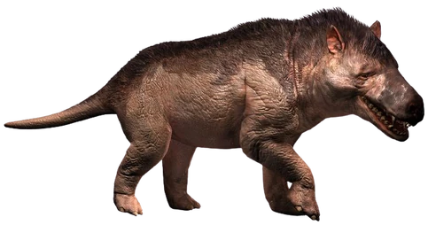 Andrewsarchus PrehistoricPokemon Wiki Fandom