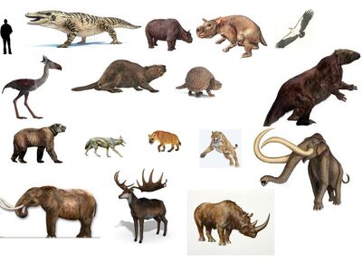 Pleistocene epoch | Prehistoric Life Wiki | Fandom