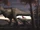 Tyrannosaurus