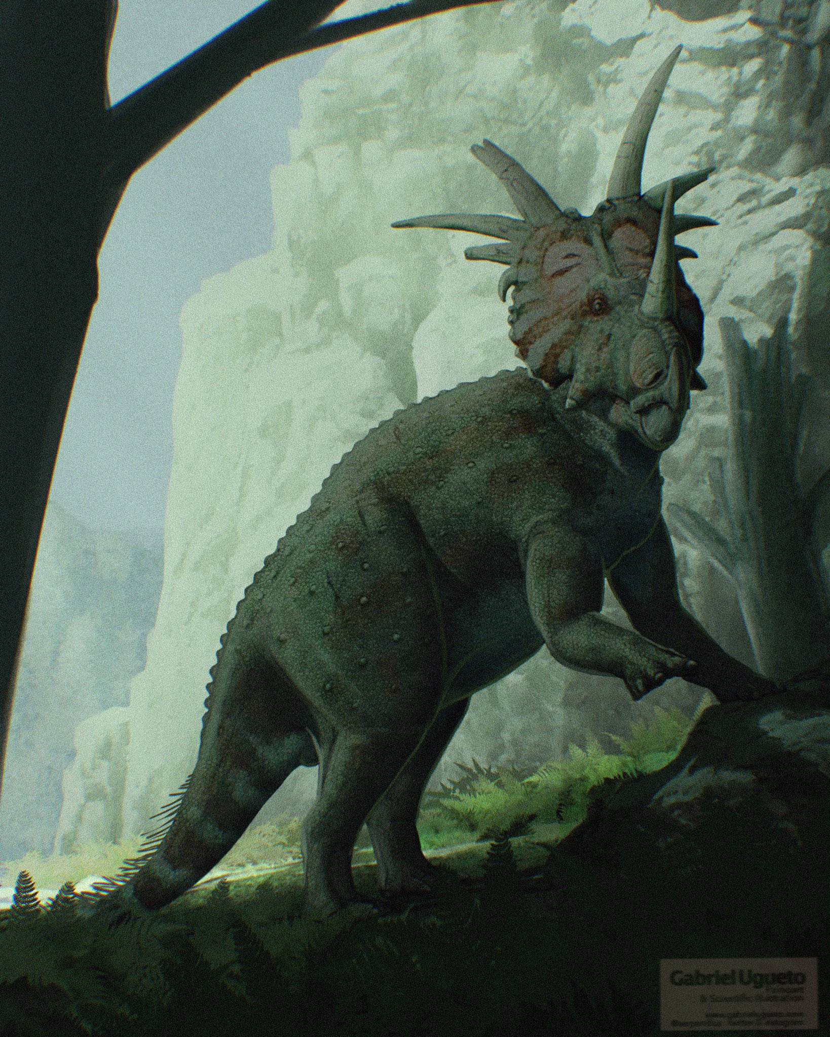 Styracosaurus Styracosaurus