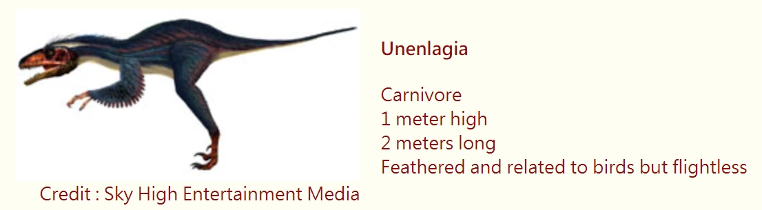 Unenlagia Paleo Media Wiki Fandom