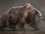 Cave bear