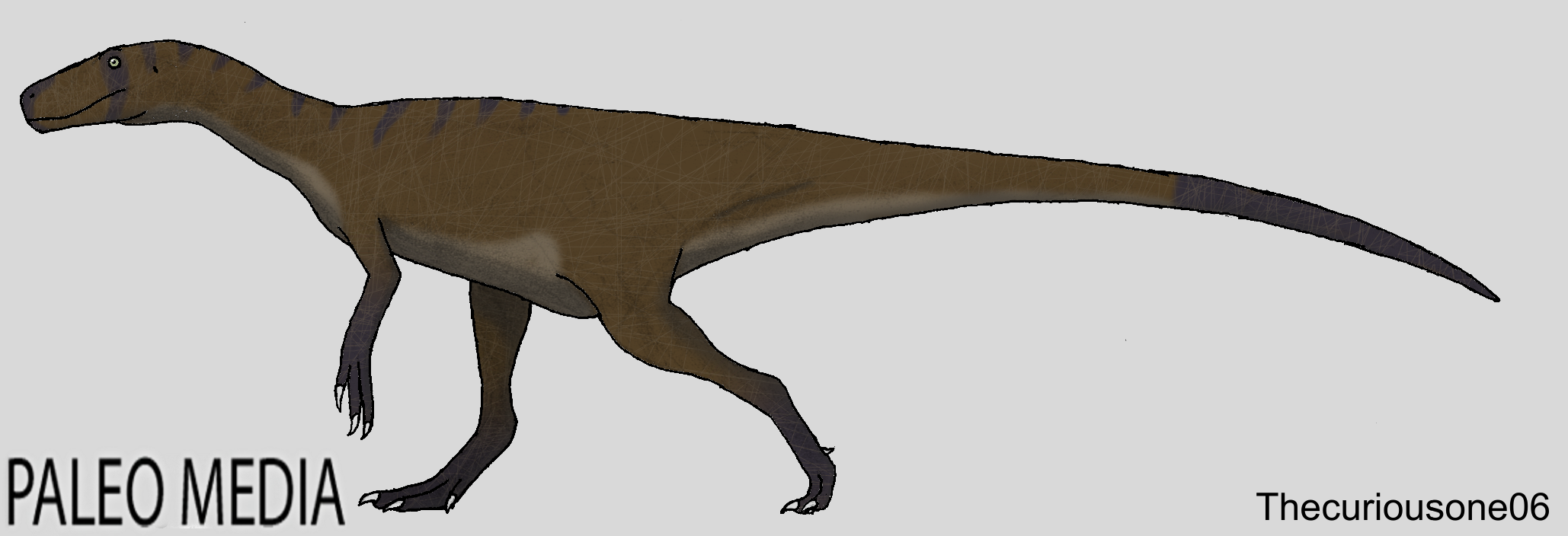 Herrerasaurus Paleo Media Wiki Fandom