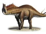 Amargasaurus