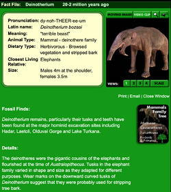 Deinotherium  Dinosaurs - Pictures and Facts