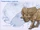 Protoceratops