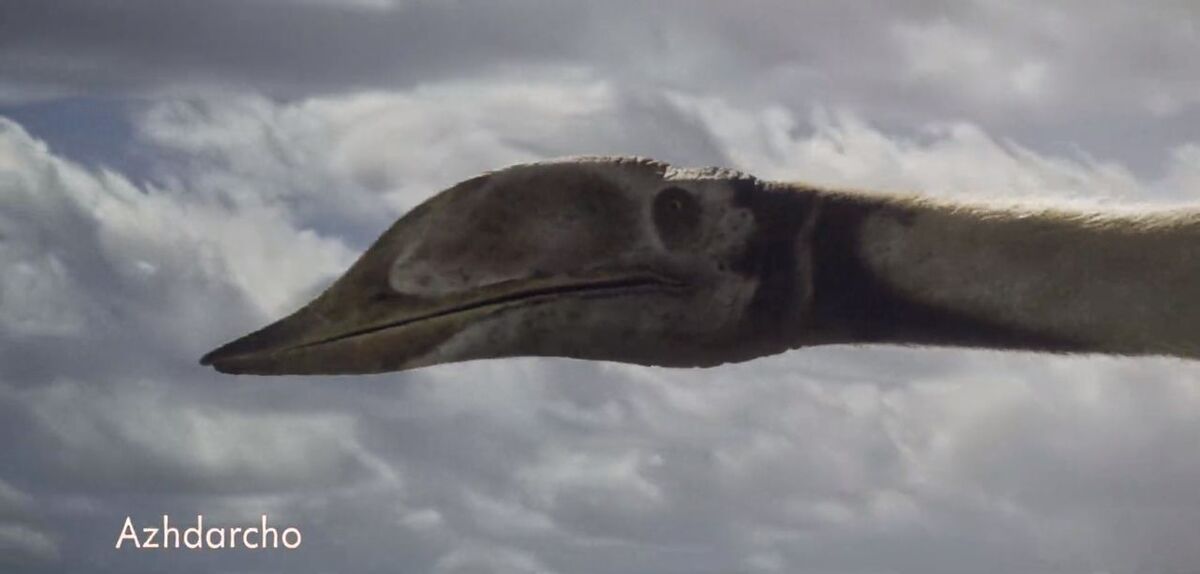 Azhdarcho Paleo Media Wiki Fandom