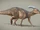 Parasaurolophus