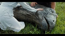 An Apatosaurus, mortally wounded by the Indominus rex, being comforted by Owen Grady and Claire Dearing in its final moments