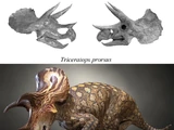 Triceratops