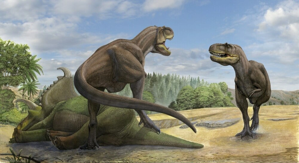 Teratophoneus Paleo Media Wiki Fandom