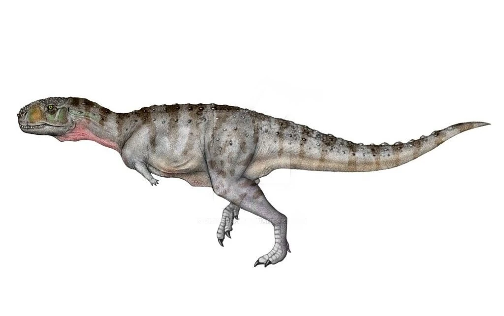 Quilmesaurus Paleo Media Wiki Fandom