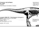 Albertosaurus