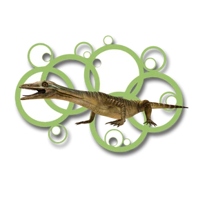 Macrocnemus Paleo Media Wiki Fandom