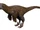 Dromaeosauroides
