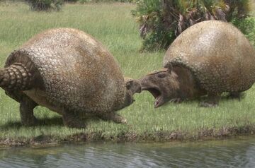 Glyptotherium | Paleo Media Wiki | Fandom