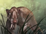 Thylacosmilus