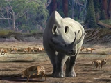 Megacerops