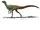 Pisanosaurus