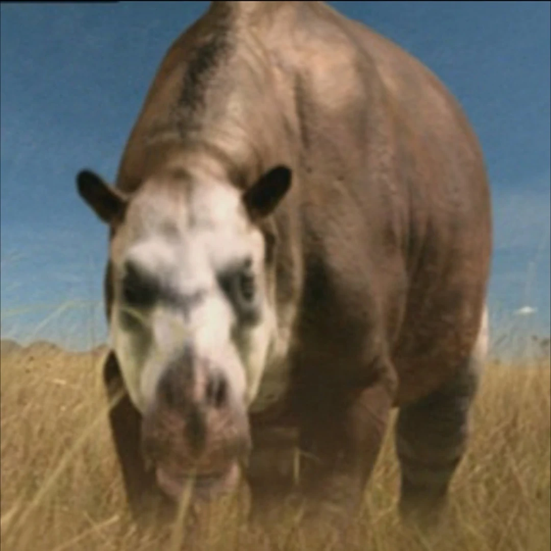 Toxodon Paleo Media Wiki Fandom