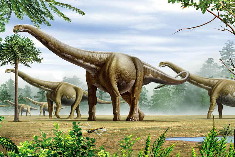 Argentinosaurus | Paleo Media Wiki | Fandom