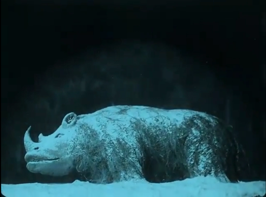 Woolly rhinoceros Paleo Media Wiki Fandom