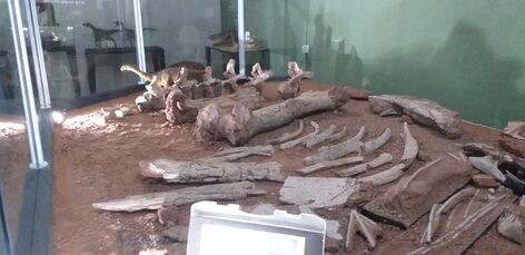 Arrudatitan exhibition