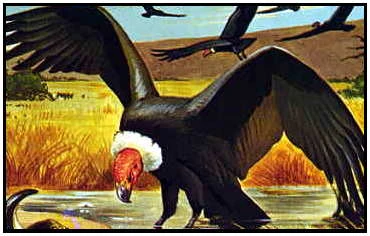 Taubatornis Prehistoria Fandom Fandom