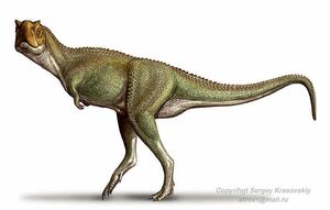 XenotarsosaurusSK