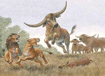  espantando a dos leones africanos