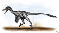 Velociraptor mongoliensis by malvit-d4w8avc