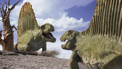 Dimetrodon pareja--478x270