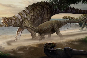 Itapeuasaurus Prehistoria Fandom Fandom