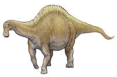 Rebbakisaurusu