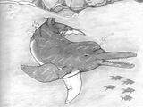 Macrodelphinus