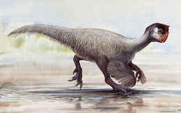 Ajancingenia-Ingenia-andrewisles.jpg