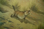 Representación Artistica del Mylagaulus en su habitat natural.