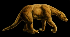Nothrotherium