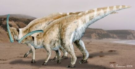Parasaurolophus NT.jpg