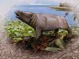 Phosphatherium