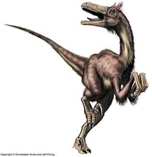Neunquenraptor.