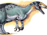 Megaraptor