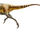 Xiongguanlong