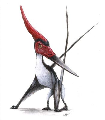 Pteranodon
